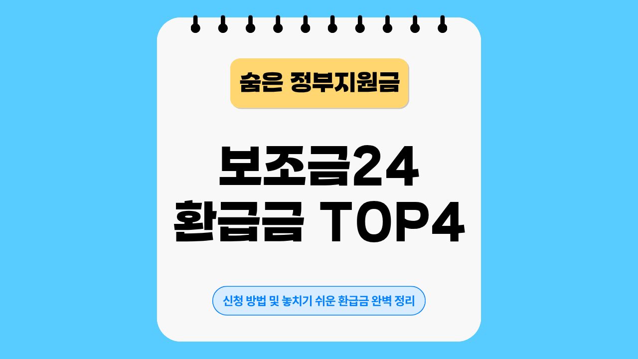 정부지원금, 보조금